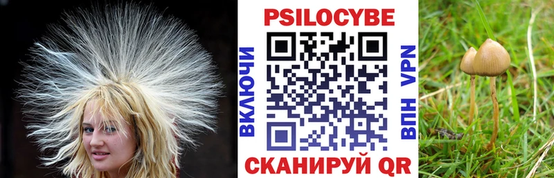 закладки Вуктыл Псилоцибиновые грибы Magic Shrooms